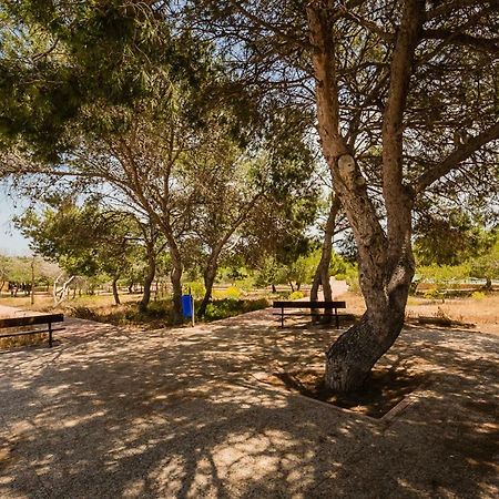 Apartament "Parque Mar" Ла-Мата Экстерьер фото